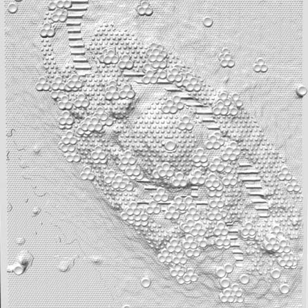 NGC 7320  HSTWFC3